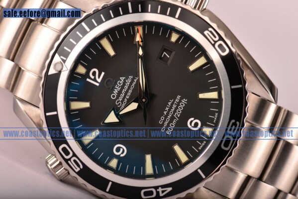Omega Perfect Replica Seamaster Planet Ocean 600 M Watch Steel 232.30.42.21.01.001 (BP)