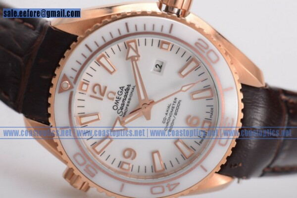 Omega Seamaster Planet Ocean 600M Watch Perfect Replica Rose Gold 232.63.38.20.04.001