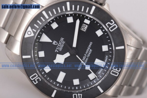 1:1 Replica Tudor Pelagos Watch Titanium 25500TN (ZF)