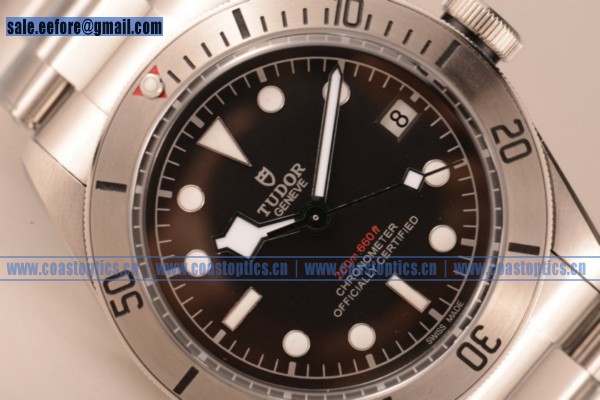 Perfect Replica Tudor Heritage Black Bay Watch Steel 79730