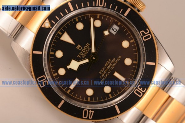 Perfect Replica Tudor Heritage Black Bay S&G Watch Two Tone 7924