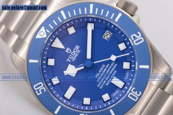 Perfect Replica Tudor Pelagos Watch Titanium 25600TB
