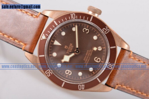 Tudor Heritage Black Bay Watch Rose Gold 79250BM 1:1 Replica (ZF) - Click Image to Close